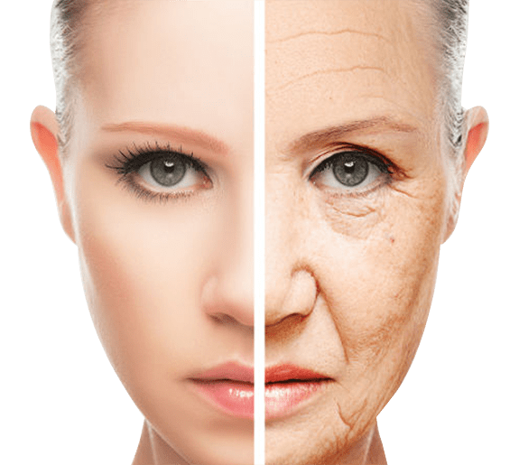 anti-aging